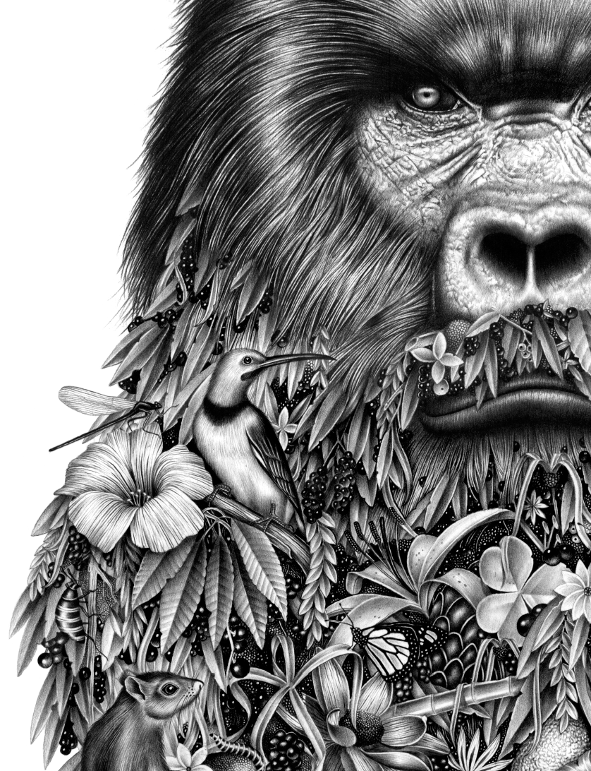 pencil black & white gorilla monkey AMI pattern textile animal black coal