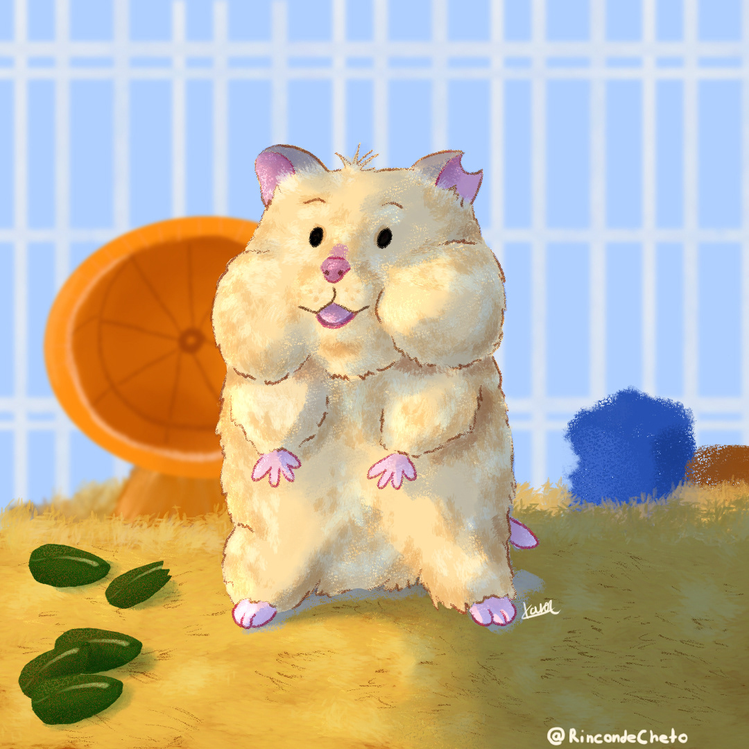 cartoon digital illustration children illustration Digital Art  ILLUSTRATION  animal hamster