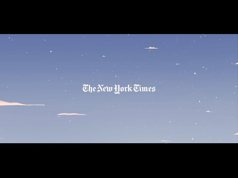 New York Times city New York snow winter Christmas