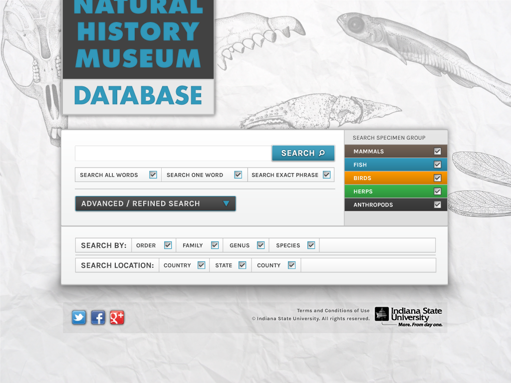 natural history musuem database Logotype snippet graphic Icon Web