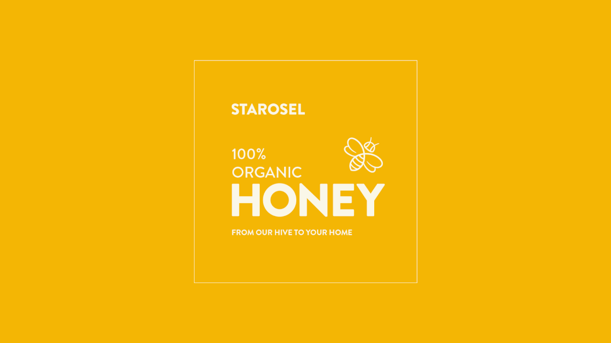branding  cute Food  honey ILLUSTRATION  logo Packaging Photography  products yellow