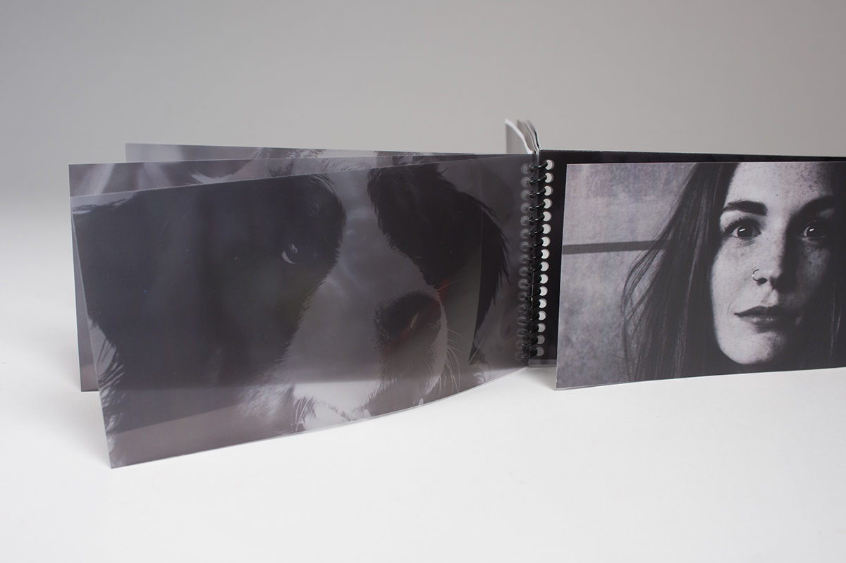 design dogs pets representational study Booklet print