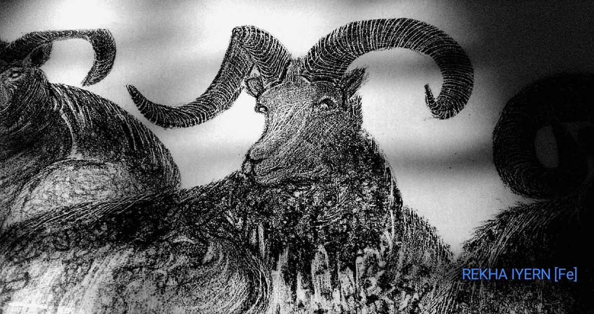 Goats - Partial Image, Black & White Litho Print by REKHA IYERN [Fe]
