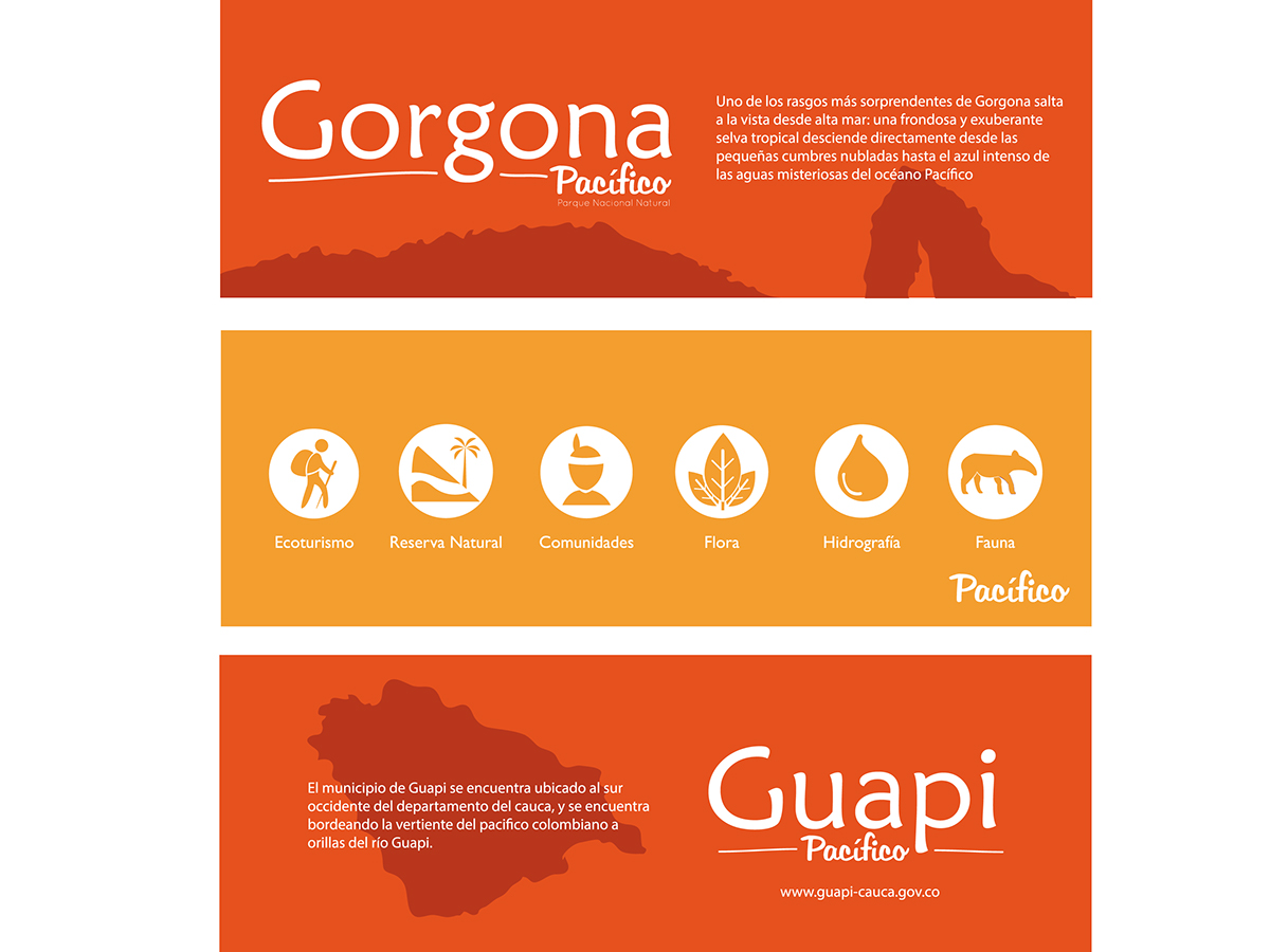 pacifico ilustracion colombia Popayán Cauca diseño gráfico cultura Expocisión colores fauna naturaleza cultura afrocolombiana