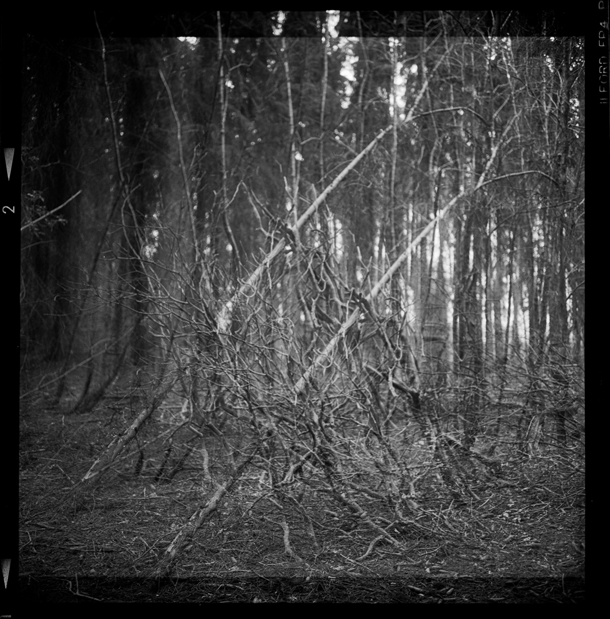 analog blackandwhite dark fotografie mood Photography  rolleiflex Schwarzweiß vintage wood