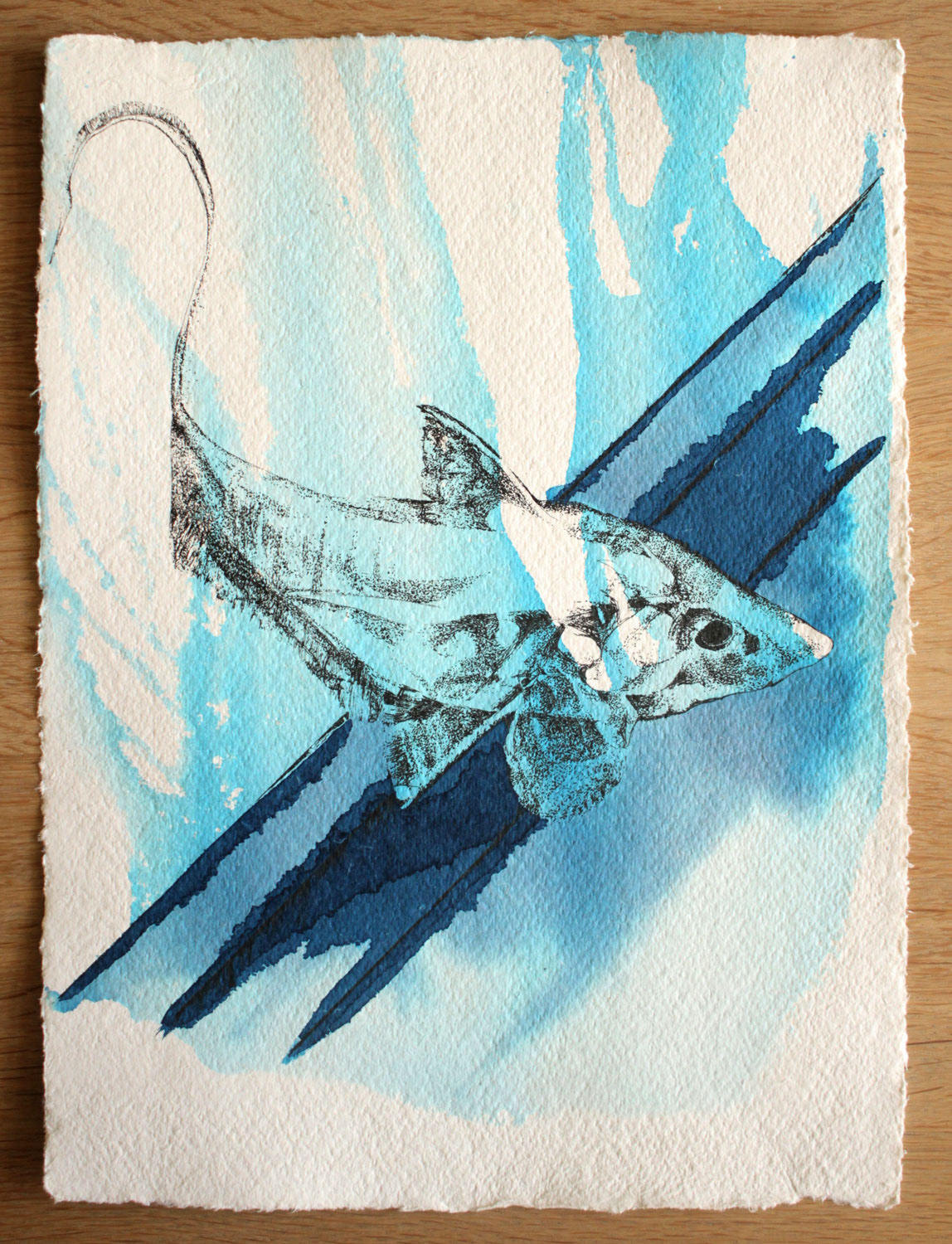 animals Drawing  fish ink Ocean sketch
