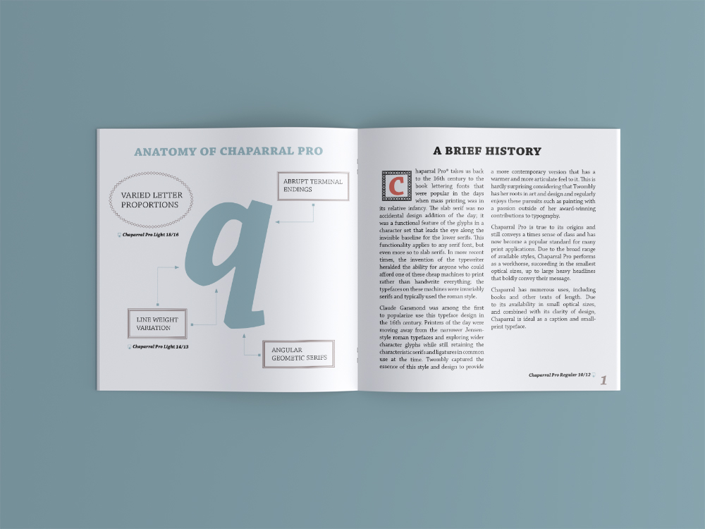 typography   book design graphic design  design hand-made print