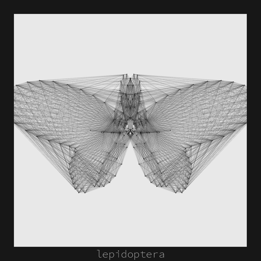 insect insecta madro generative processing java creative research study