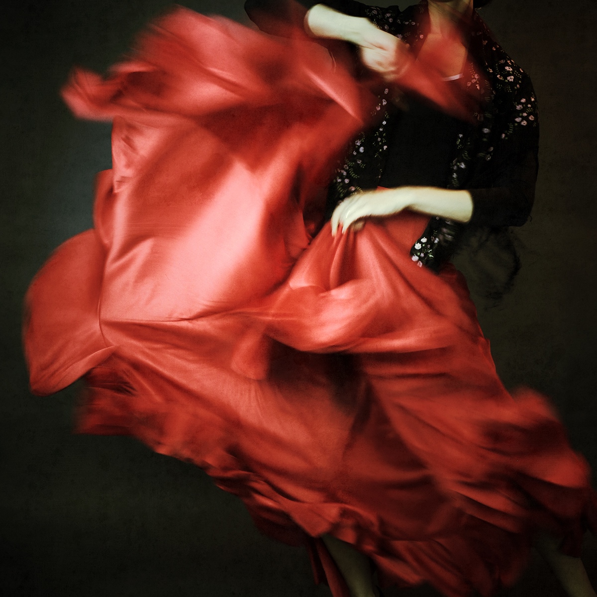 Flamenco dancer bailaora performer