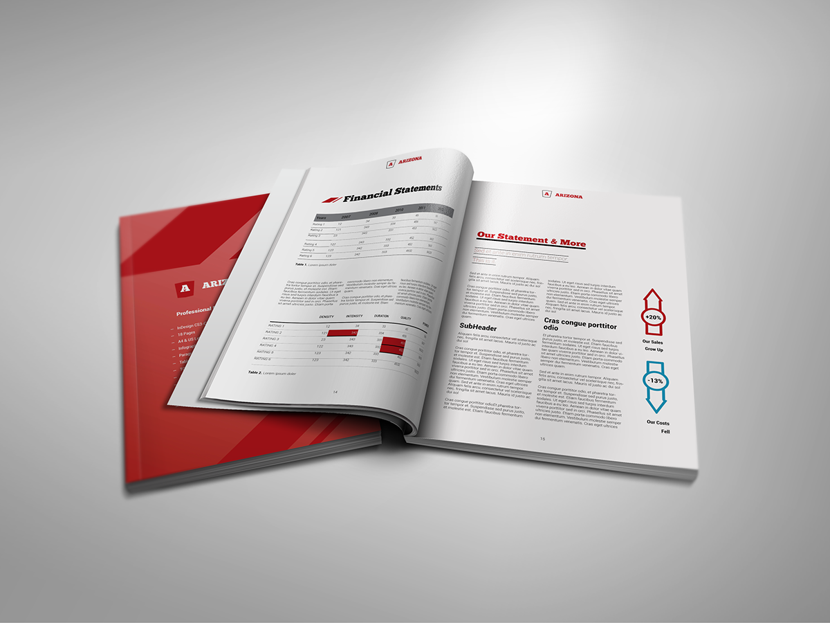 brochure  business  graphic design