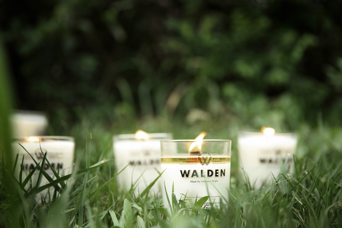 candles walden logo Korea natural seoul
