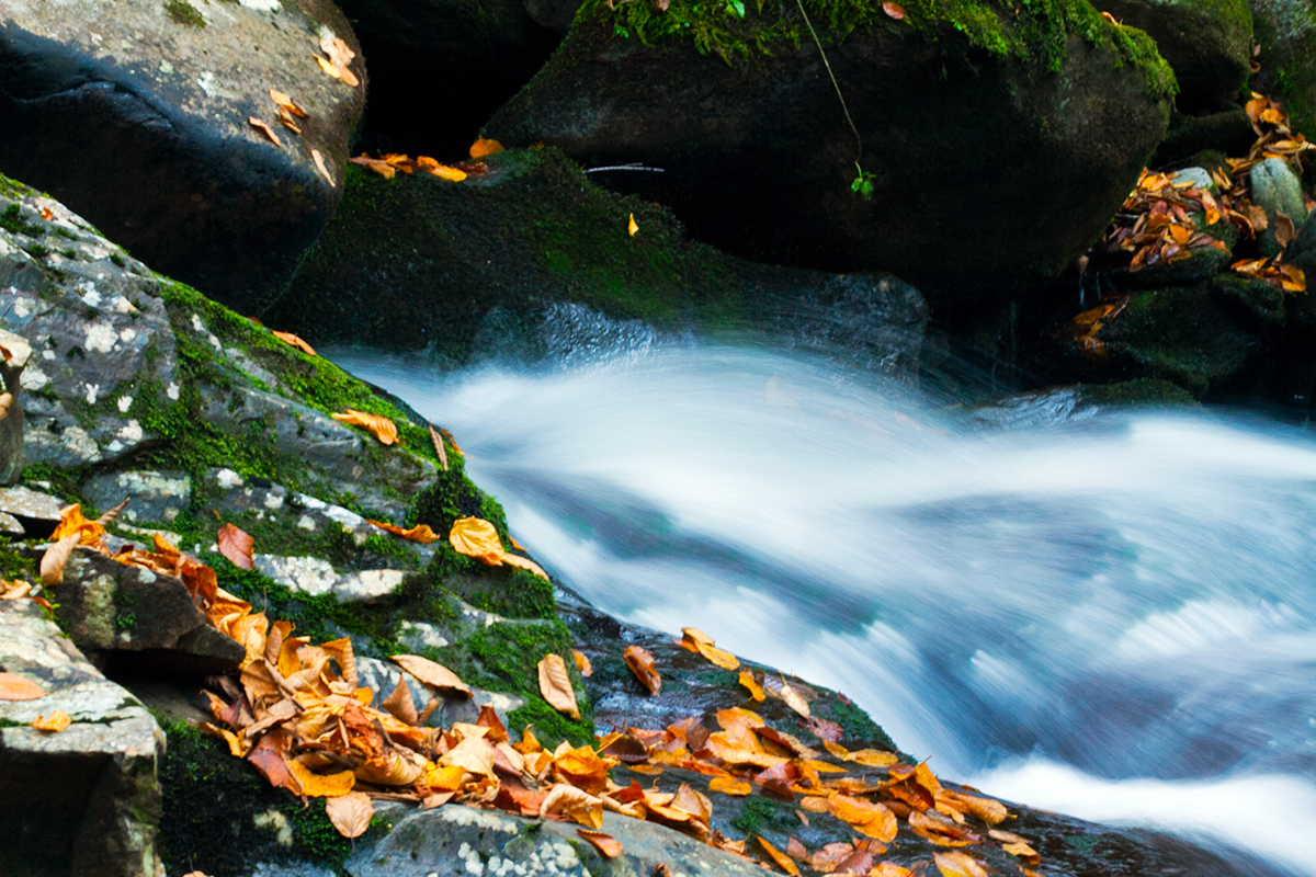 Nature Hike Great Smoky Mountains mountains Chimney Tops Smoky Mountains autumn Fall