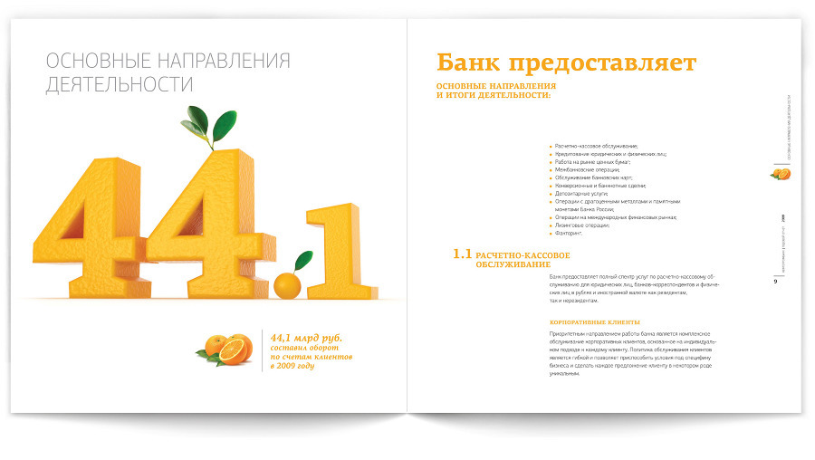 print annual report editorial brochure