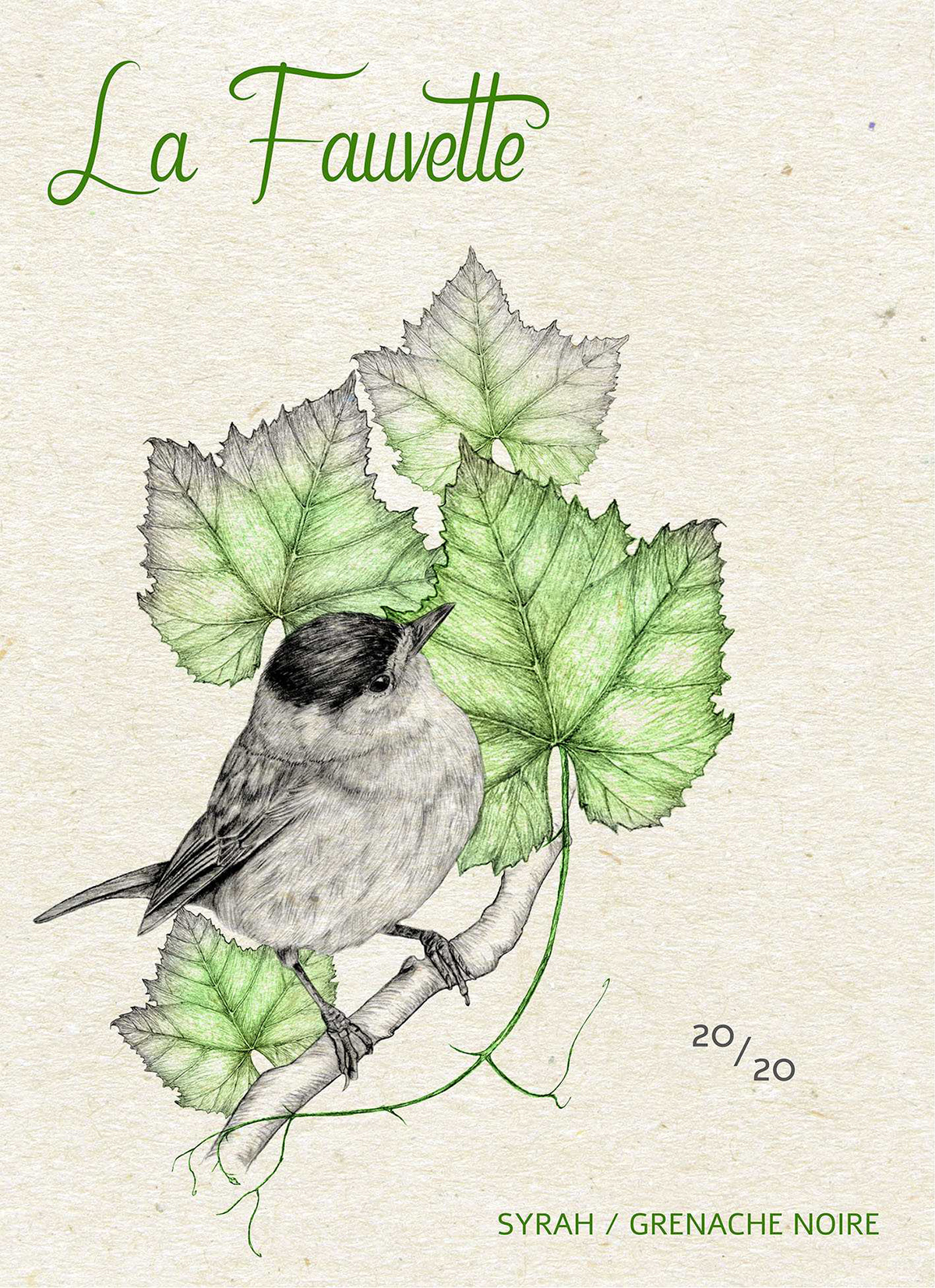 bird etiquette fauvette ILLUSTRATION  Label Packaging traditional illustration wine