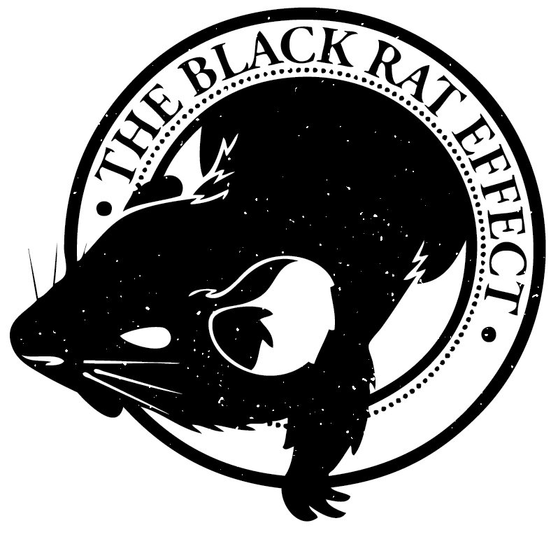 The black rat