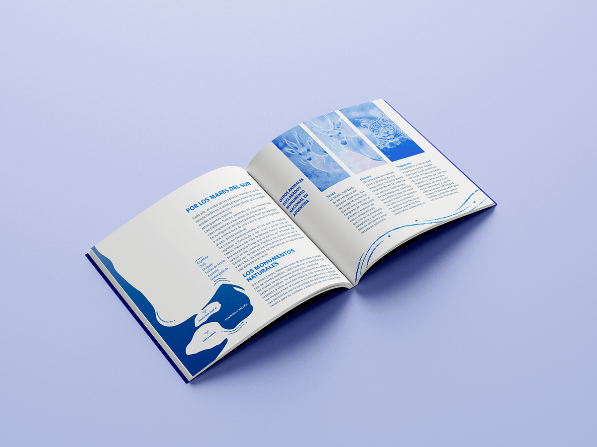 book book design brochure Diseño editorial editorial InDesign libro tipografia typography  