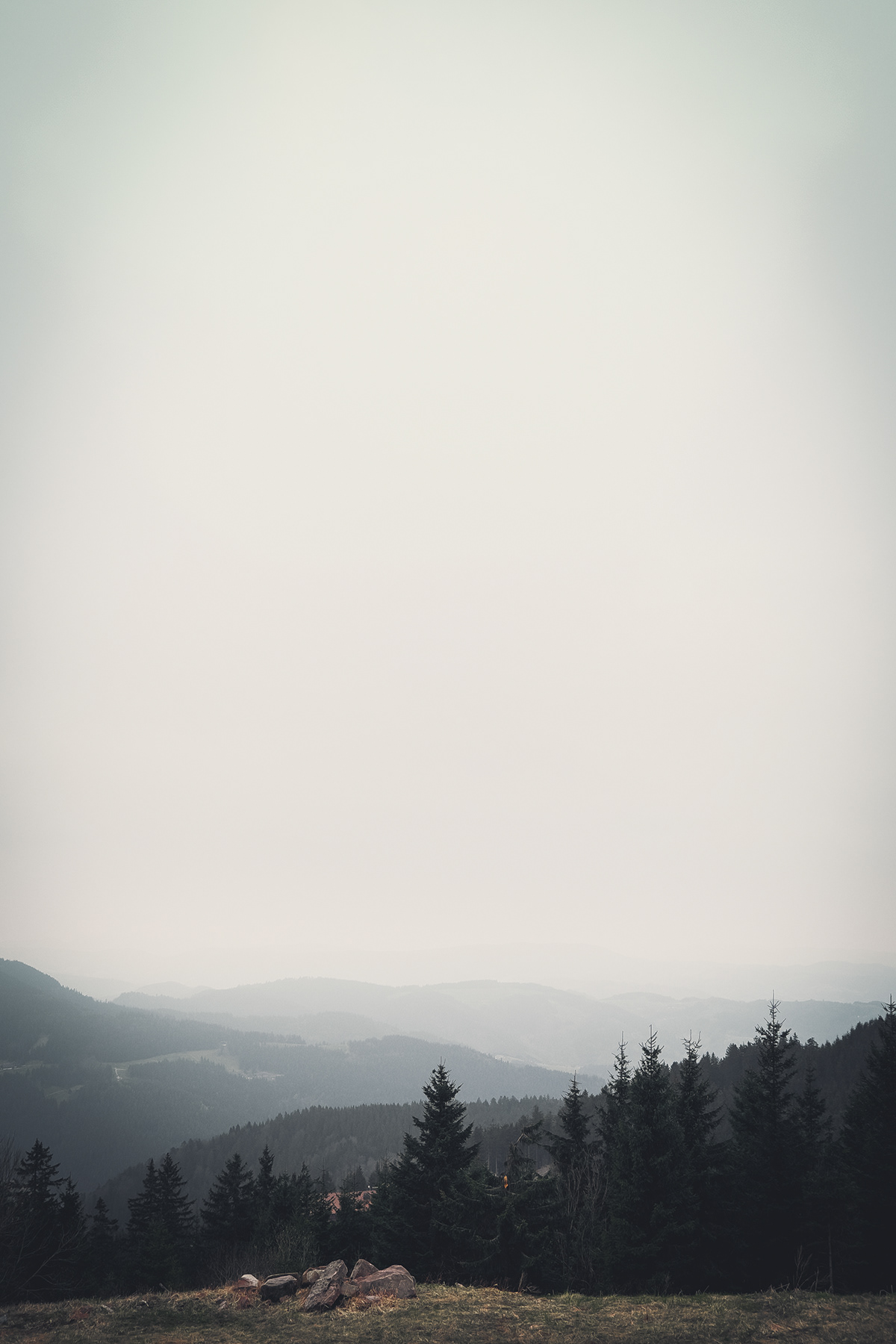 Blackforest fog foggy Landscape outdoors Schwarzwald weather