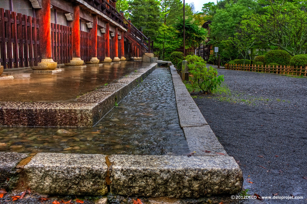 japan traditional Nara kyoto Travel rain green Picture red history world