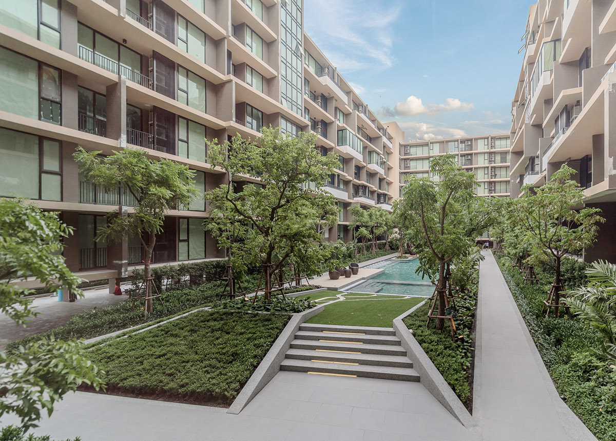 Adobe Portfolio Green Courtyard Design Landscape Pool