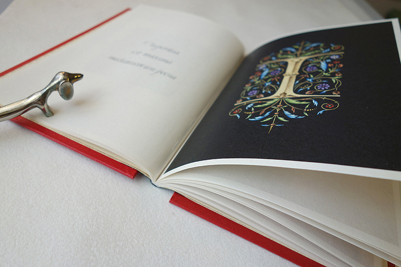 Calligraphy   alphabet book illumination