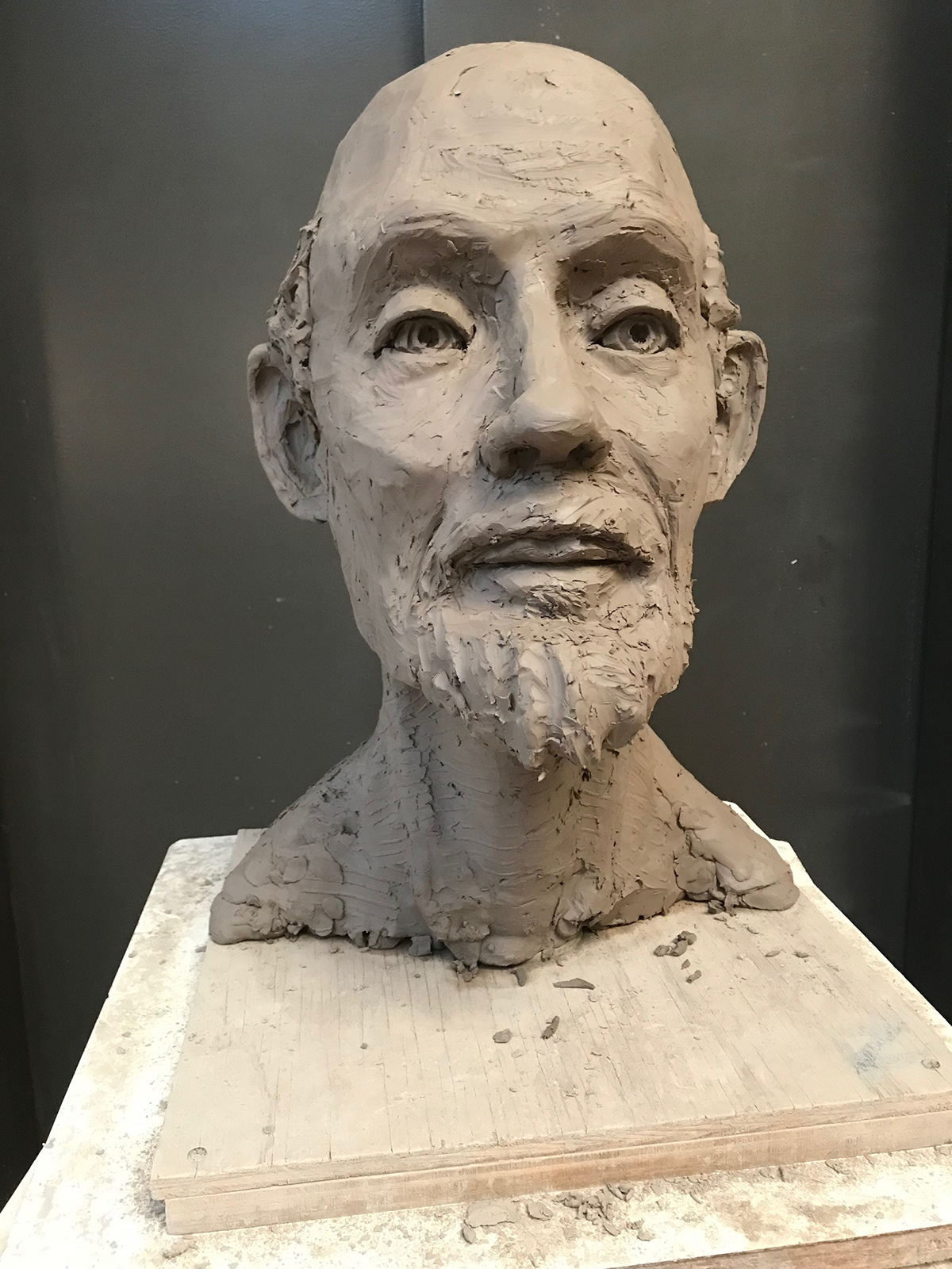 sculpture sculpting  male male portrait portrait study Observed clay water based clay