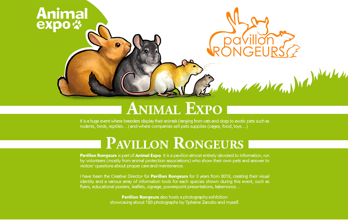 Pavillon Rongeurs graphic design  Animal Expo visual identity ILLUSTRATION  Drawing  Photography  educational rodents animals