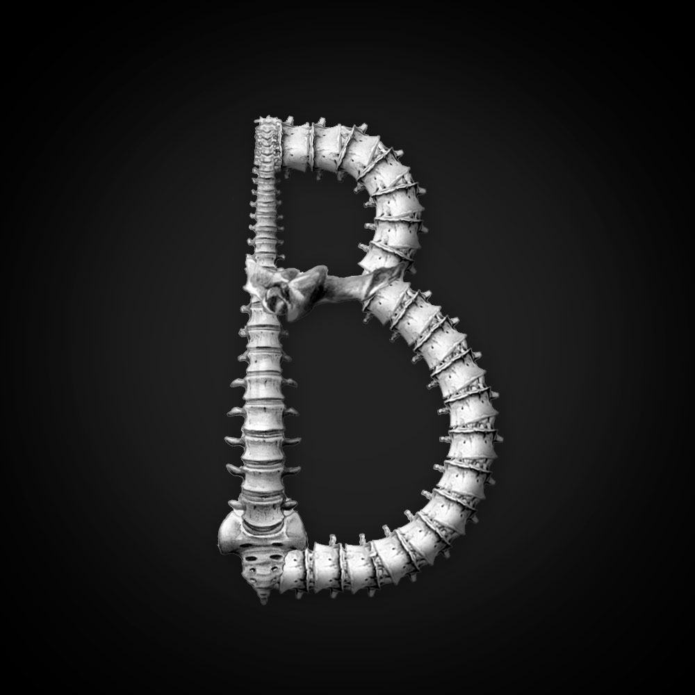 scheletro alfabeto font