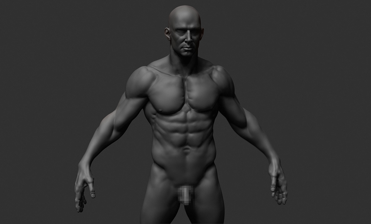 human anatomy Zbrush compositing photoshop rendering