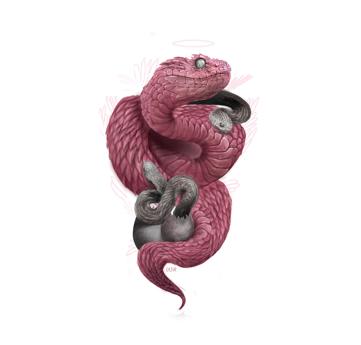 snake digital painting pink Viper snakes mother cute realistic reailsm ILLUSTRATION 