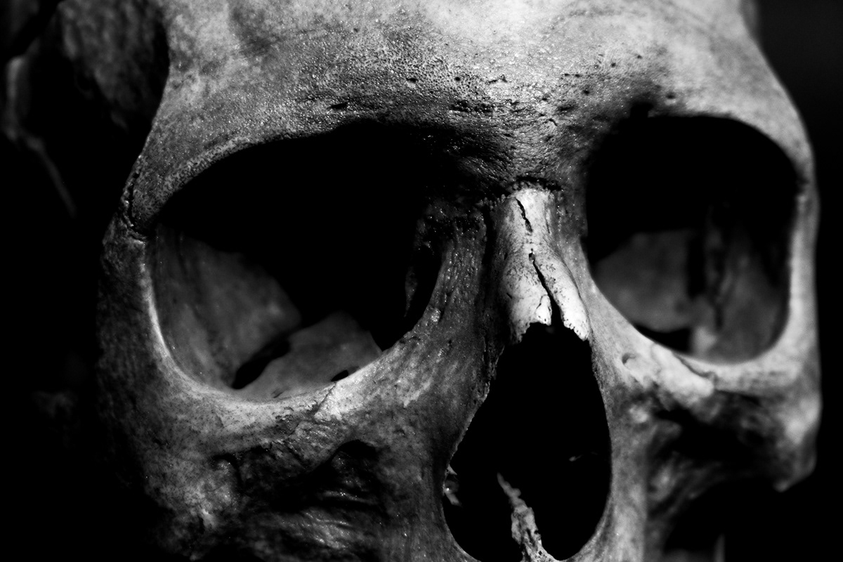 background blackandwhite death fear grayscale skull