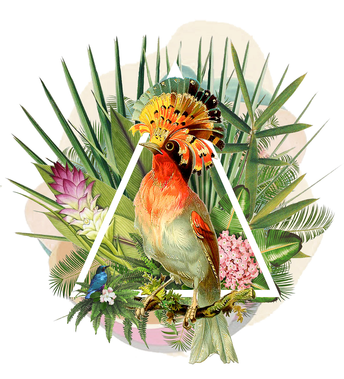 bird ILLUSTRATION  Nature peaves stamp t-shirt illustration Tropical tropical bird