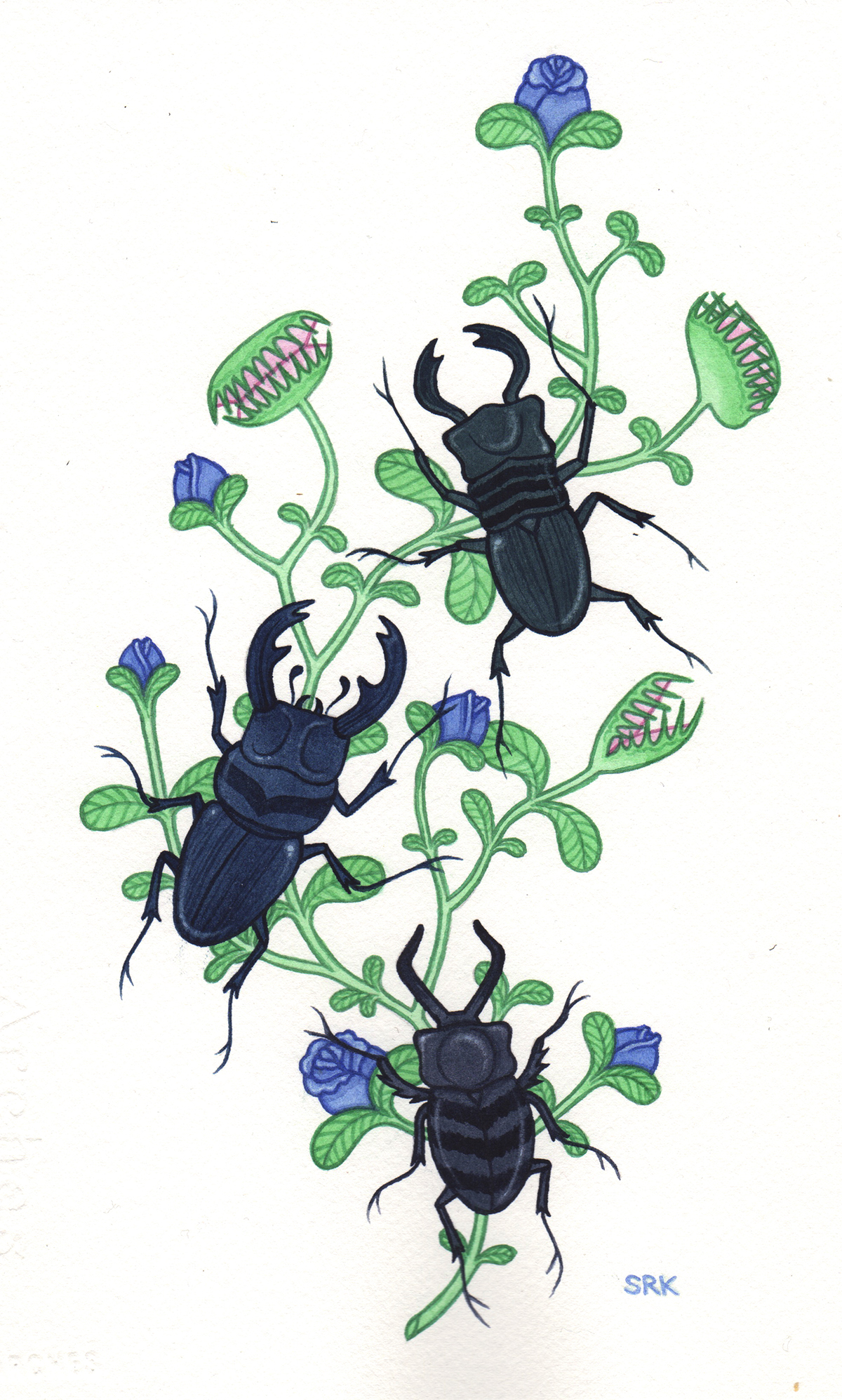 Stag beetles  floral motif blue roses rosebuds vine beetles tattoo design