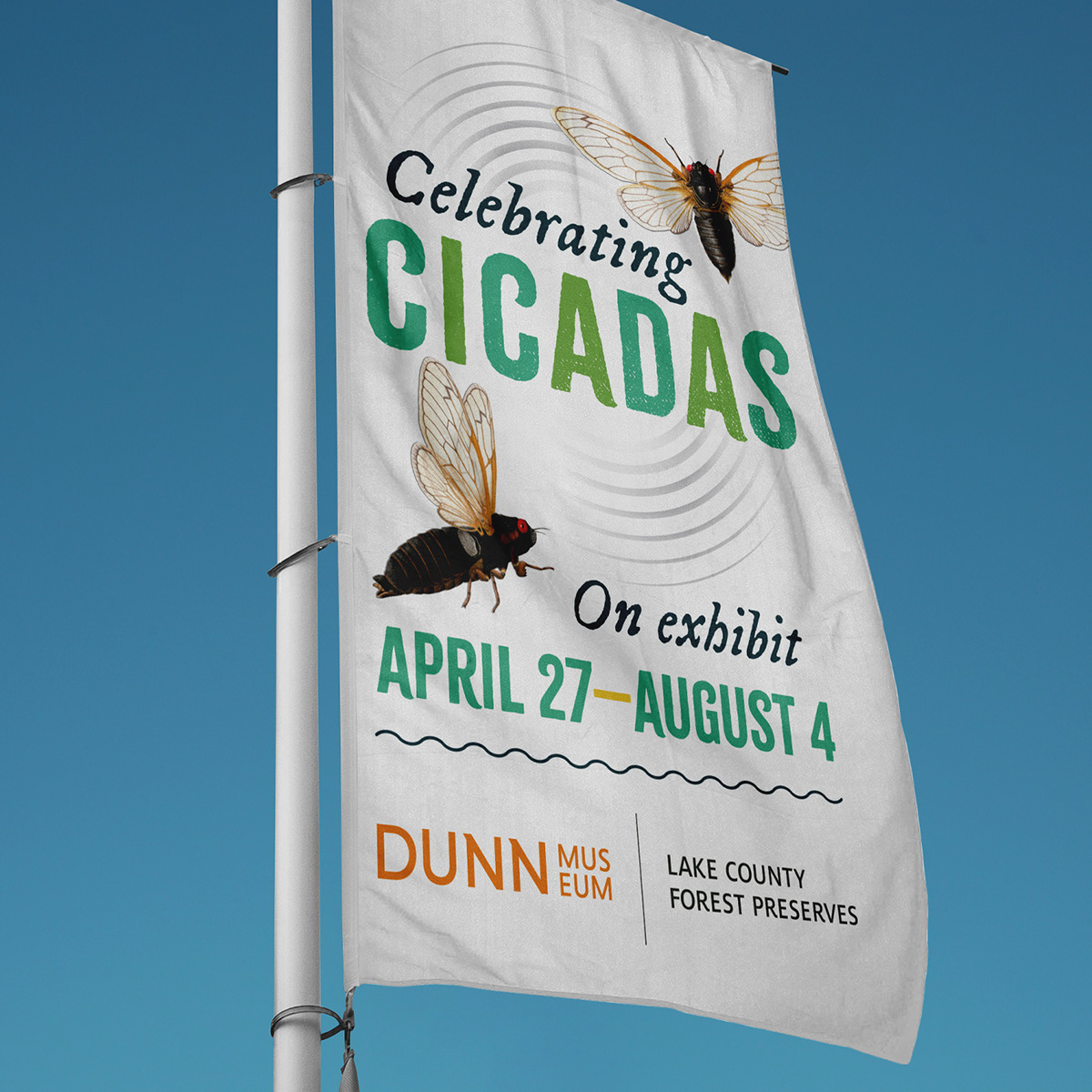 Outdoor banner advertising a museum exhibition titled Celebrating Cicadas