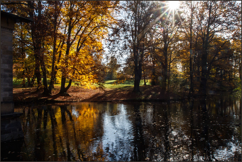 Nature castle park dresden Schloss Albrechtsberg autumn herbst Schlosspark Teich spiegelung pond reflection