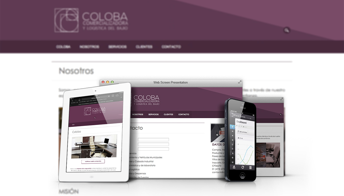 design Guanajuato brochure pitchbook Responsive Website contruction