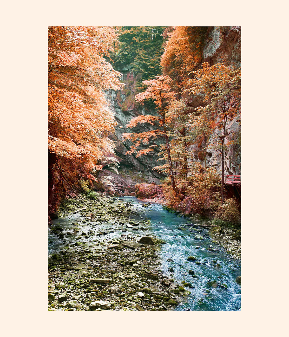 Advertising Photography art Christian Schmidt color design fotografie japanese style landscape photography Photography  retouching 