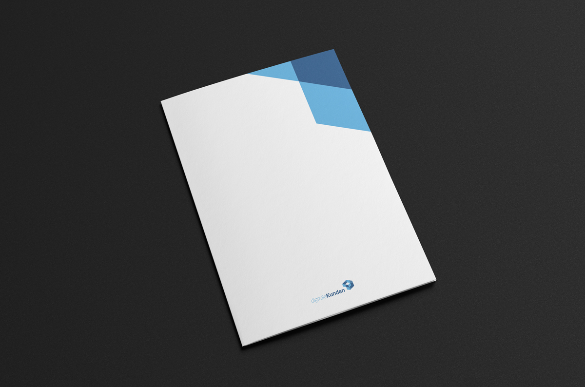 logo Sascha wohlgemuth identity simple easy clean color digital blue company escher illusion Logotype modern