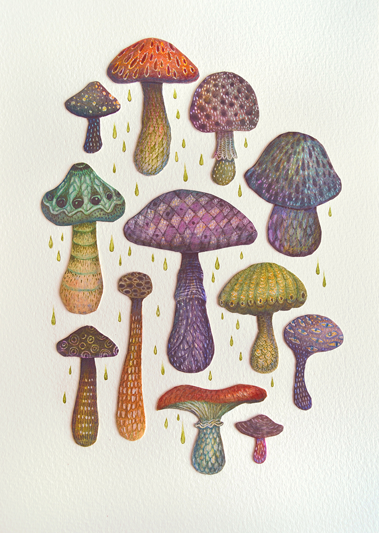 Mushrooms Fungi mushroom cutouts fungi artwork mushroom art the fungus kingdom fungi art mushroom illustration handmade