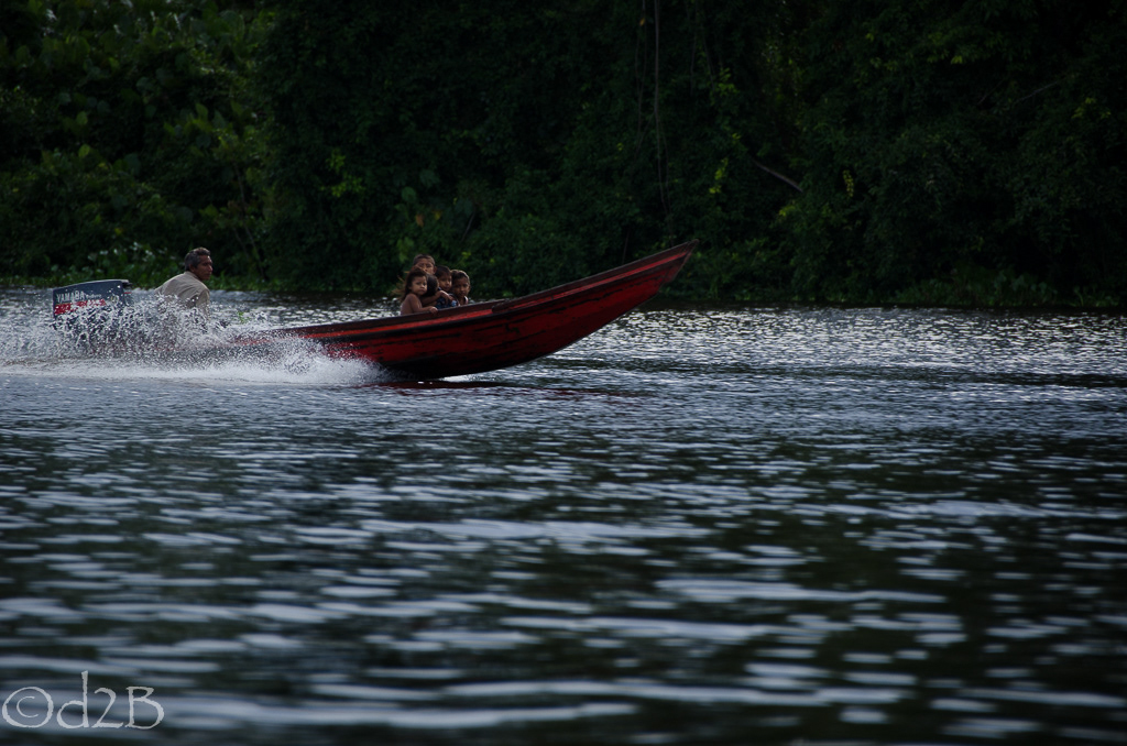 Delta river people Yoga venezuela indians canoe birds Nature trees star stars Skye water