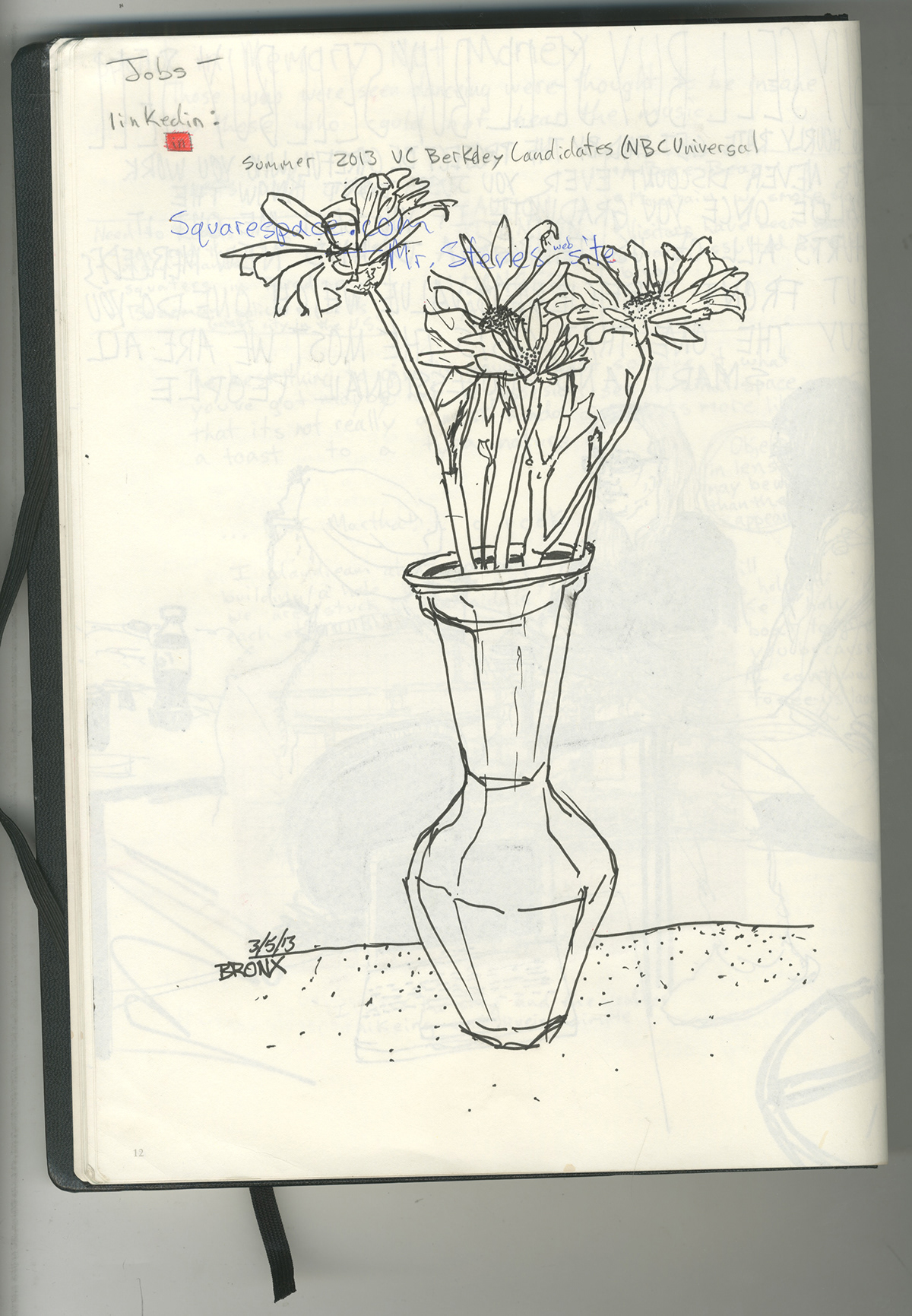 miranda  wedge   Miranda Wedge  detroit flower sketchbook sketch people journal symmetry church growth plants Belle Isle spring