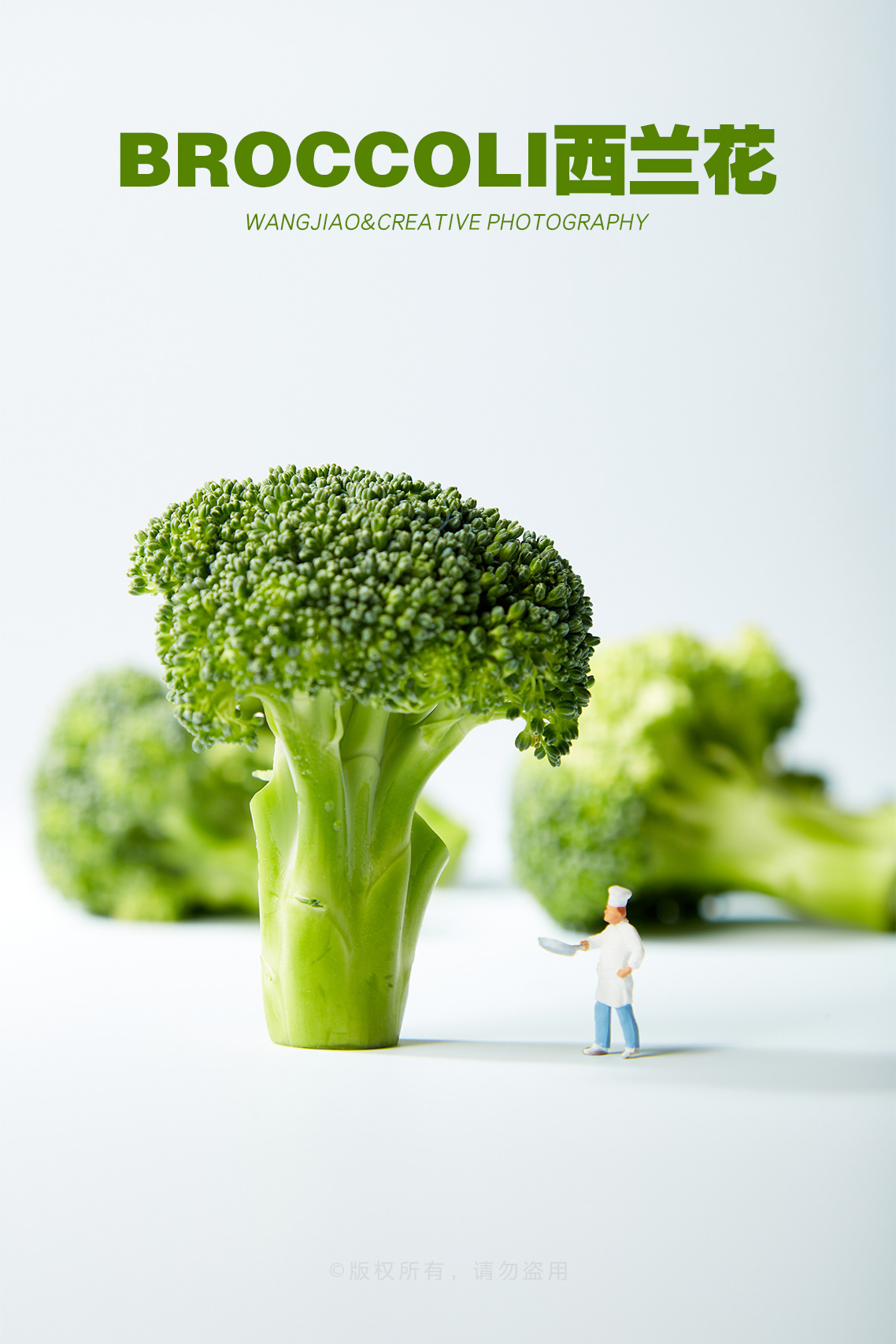broccoli Creative Photography fruits and vegetables micro photography