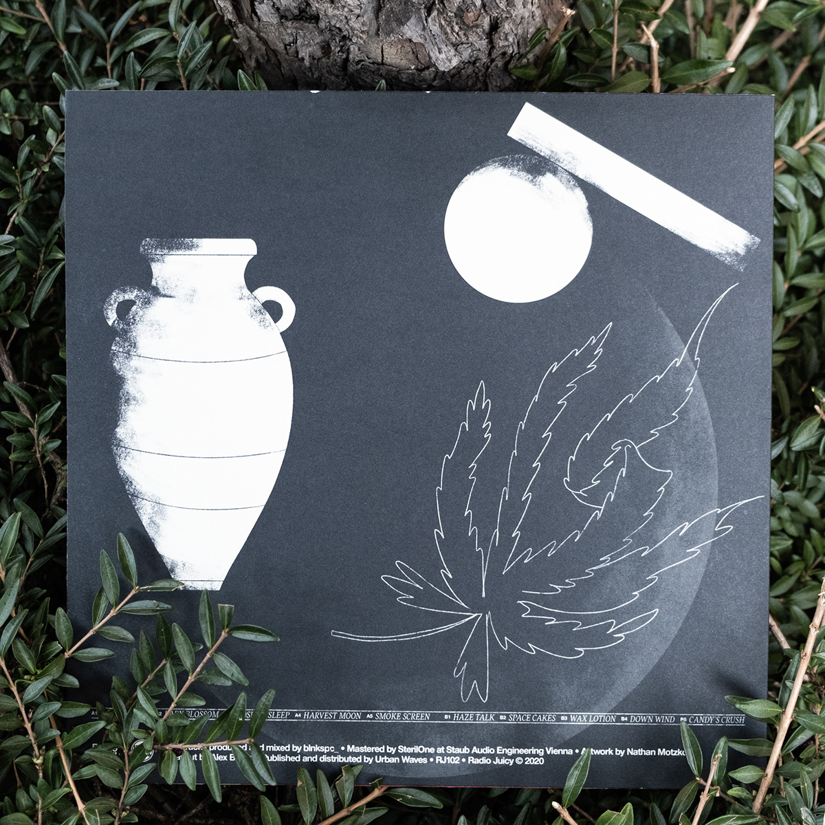 album cover artwork Digital Art  environment figure graphic design  plants queen shapes texture