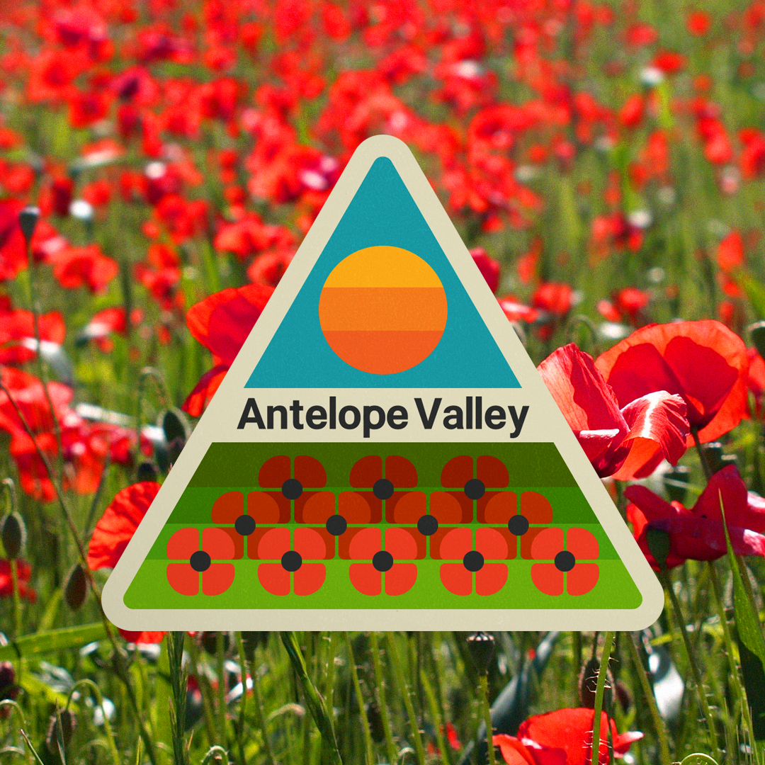 snapchat Geofilter Antelope Valley poppy field California filter AR Design Badge design Logo Design