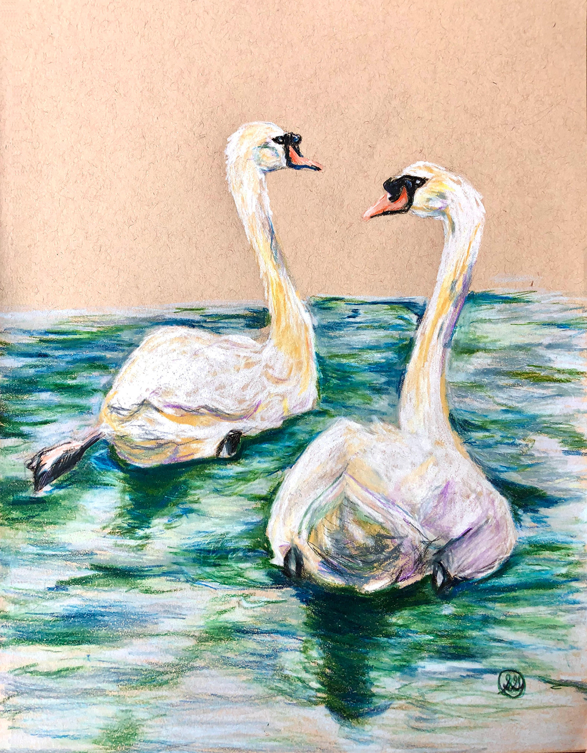bird birdart coloredpencil coloredpencilillustration FINEART Nature swan swans wildlifeillustration