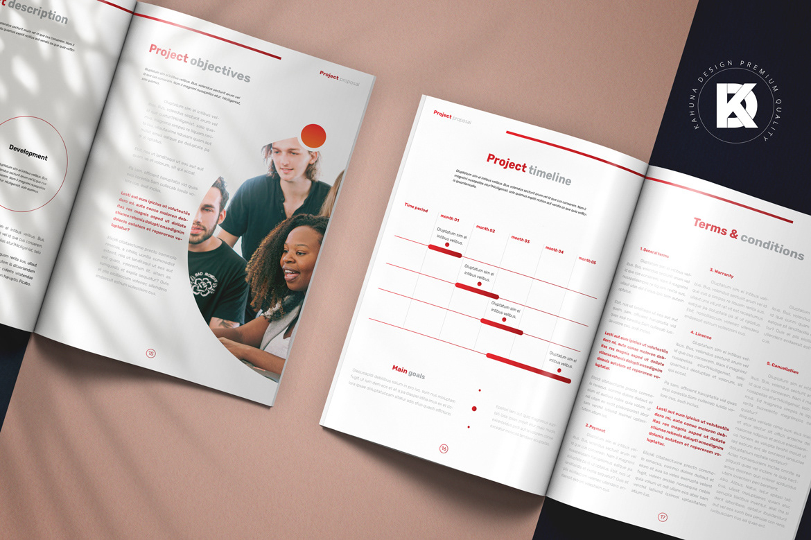 brochure circle concept description Product Options Project Proposal red strategy timeline