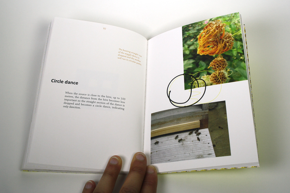 book design bee Nature design animal book