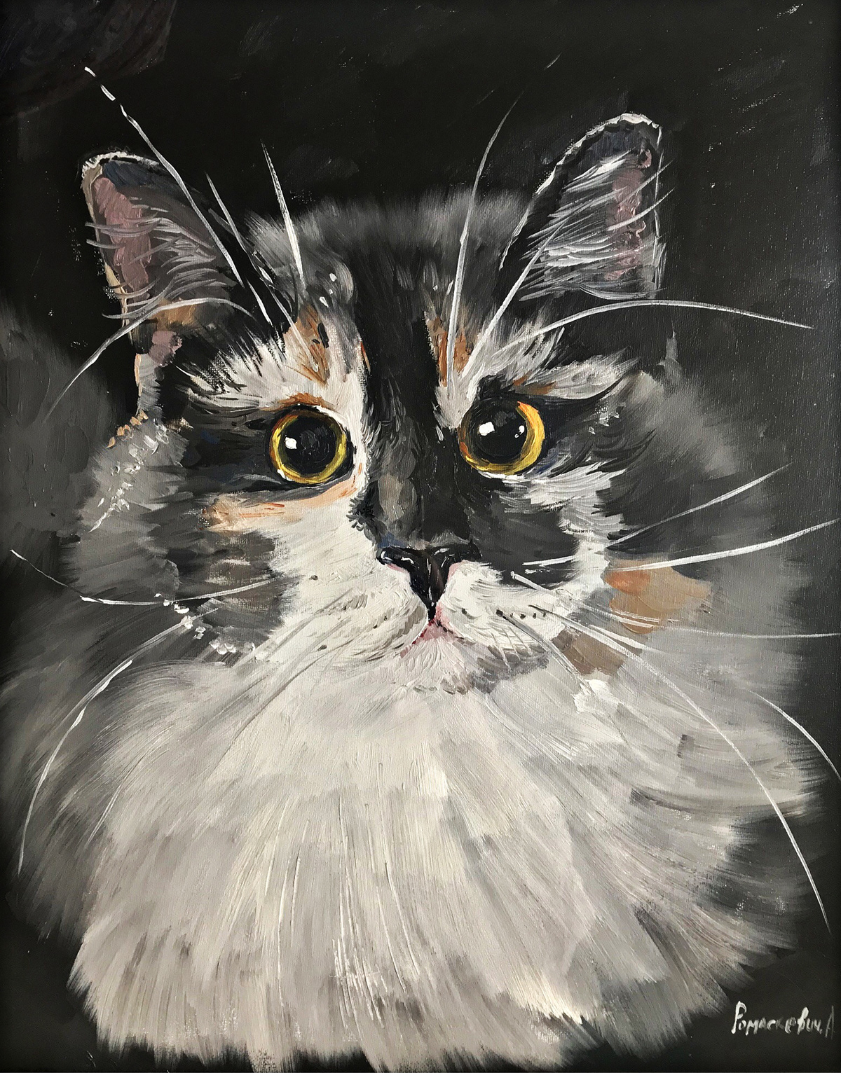 animal artist artwork Cat Drawing 