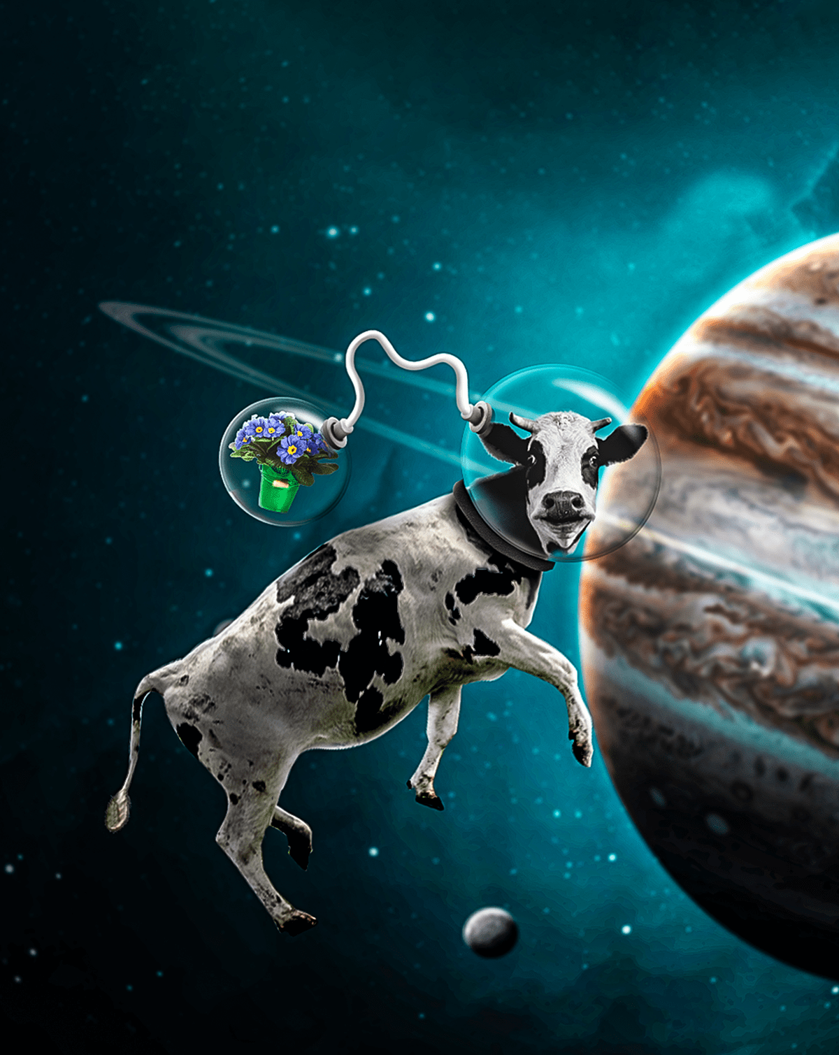 Cow Floating In Space
