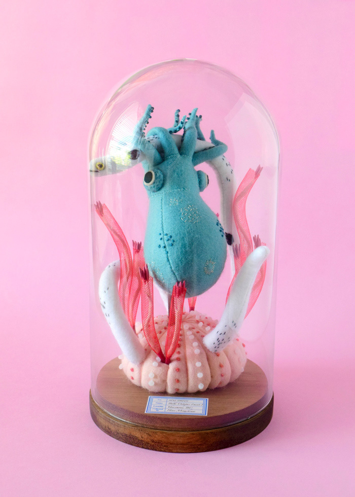 octopus hine mizushima specimen soft sculpture art craft felt handmade Exhibition  水島ひね