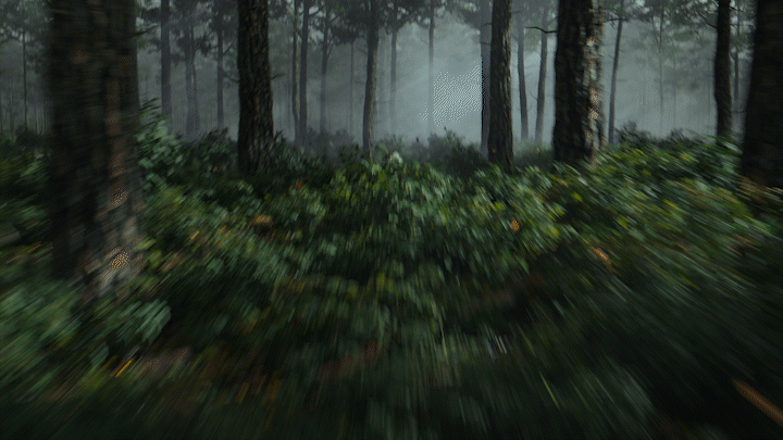 3D Render CGI 产品动画 Tree  Nature c4d octane after effects
